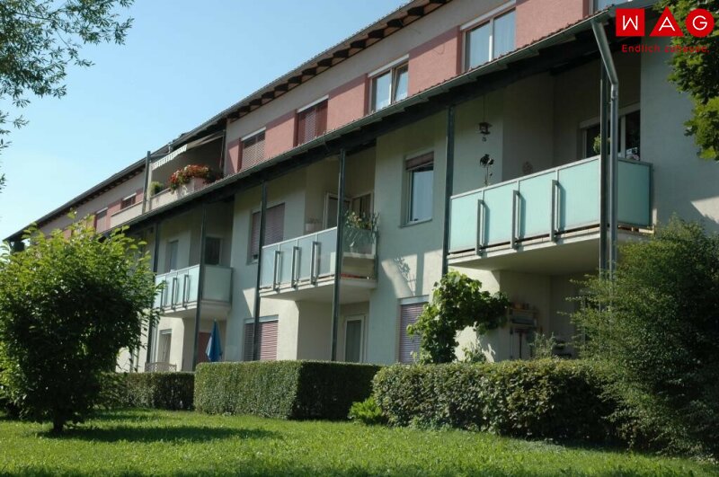 Möblierte Südseitige 3 Raumwhg. mit Balkon