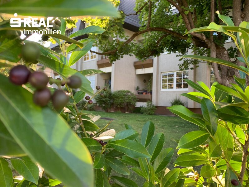 Helle, südseitig ausgerichtete SINGLE-/ PÄRCHENWOHNUNG mit LOGGIA und GARTEN